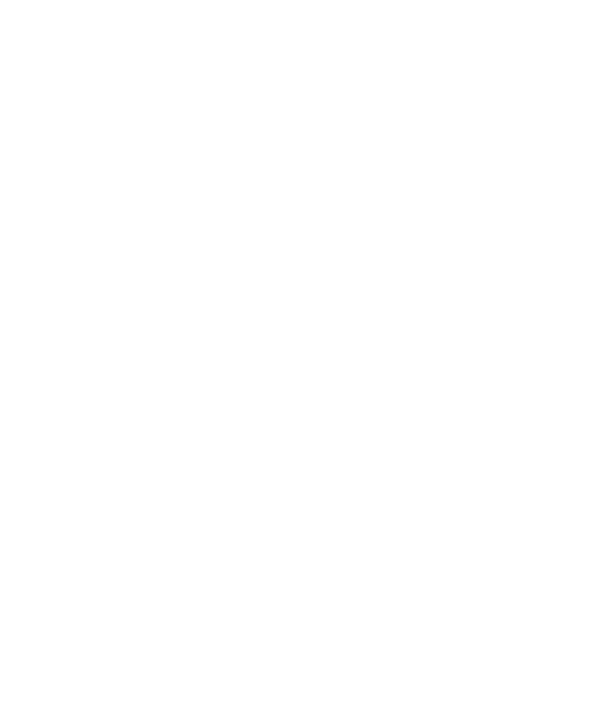 White Shenanigans Logo